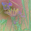 Flower meadow line