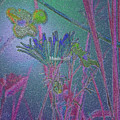 Flower meadow